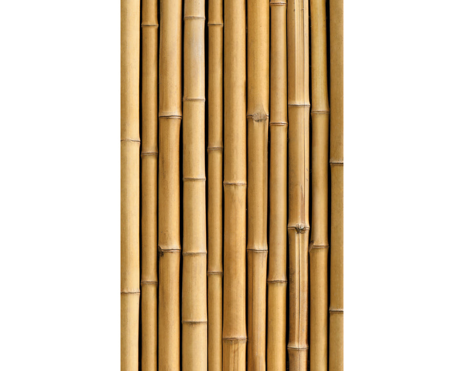 Rückwand Bildmotive