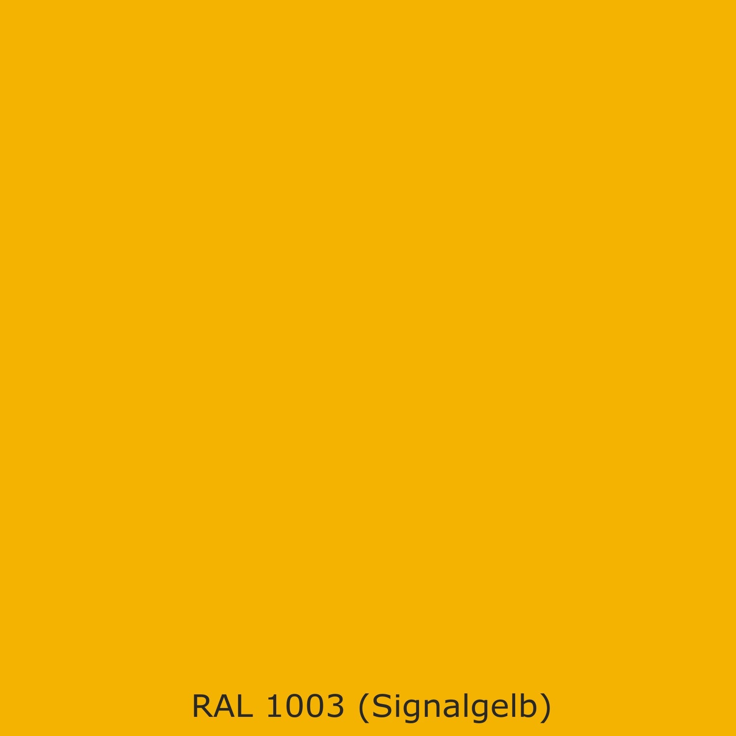 Toilettenrückwand Einfarbig #F4B300 RAL 1003 (Signalgelb)