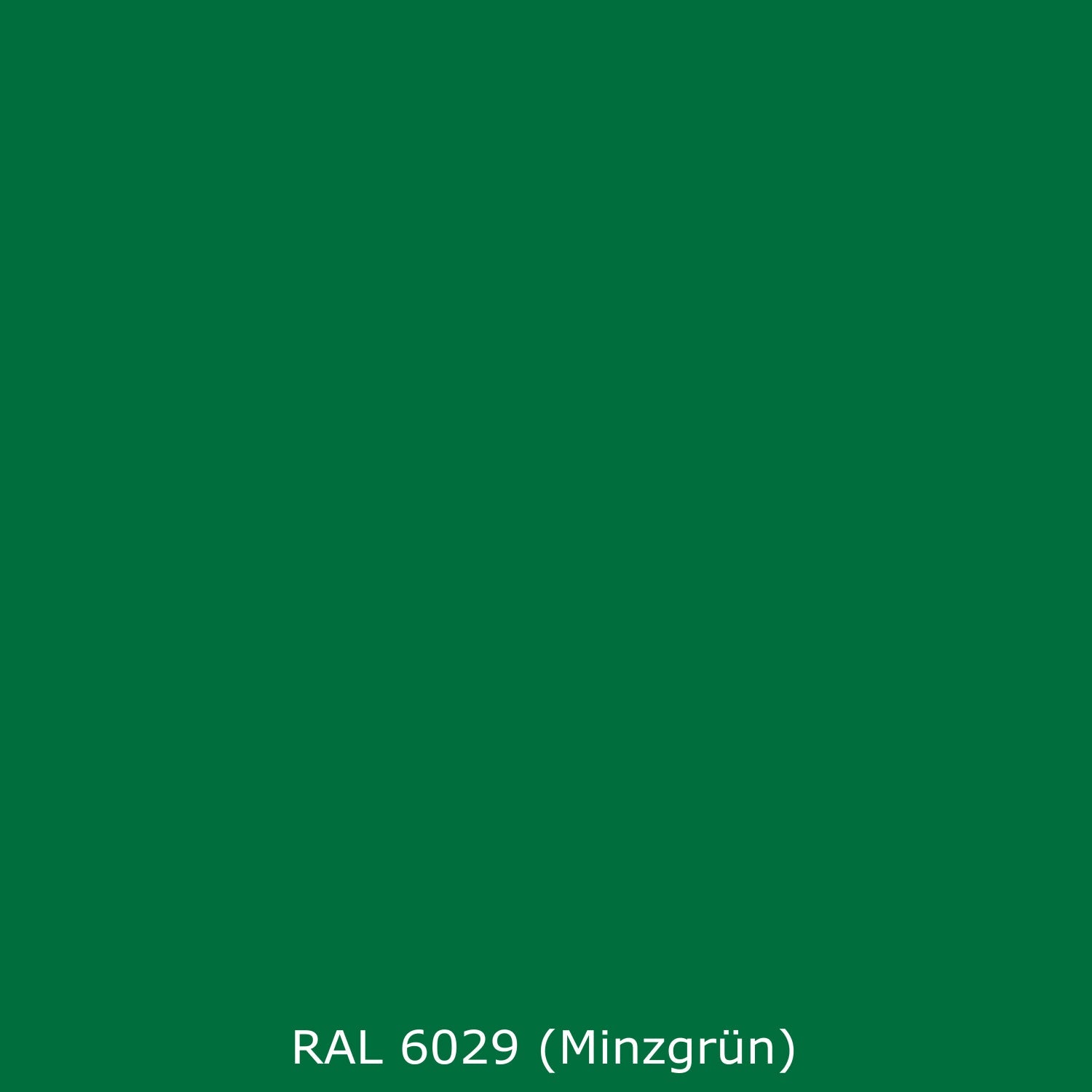 Toilettenrückwand Einfarbig RAL 6029 (Minzgrün)