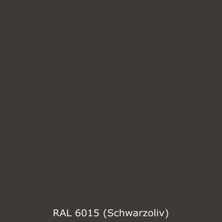 Toilettenrückwand Einfarbig RAL 6015 Schwarzoliv