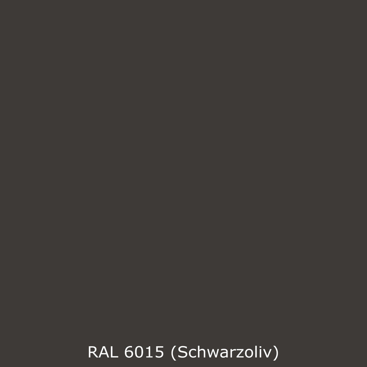 Toilettenrückwand Einfarbig RAL 6015 Schwarzoliv