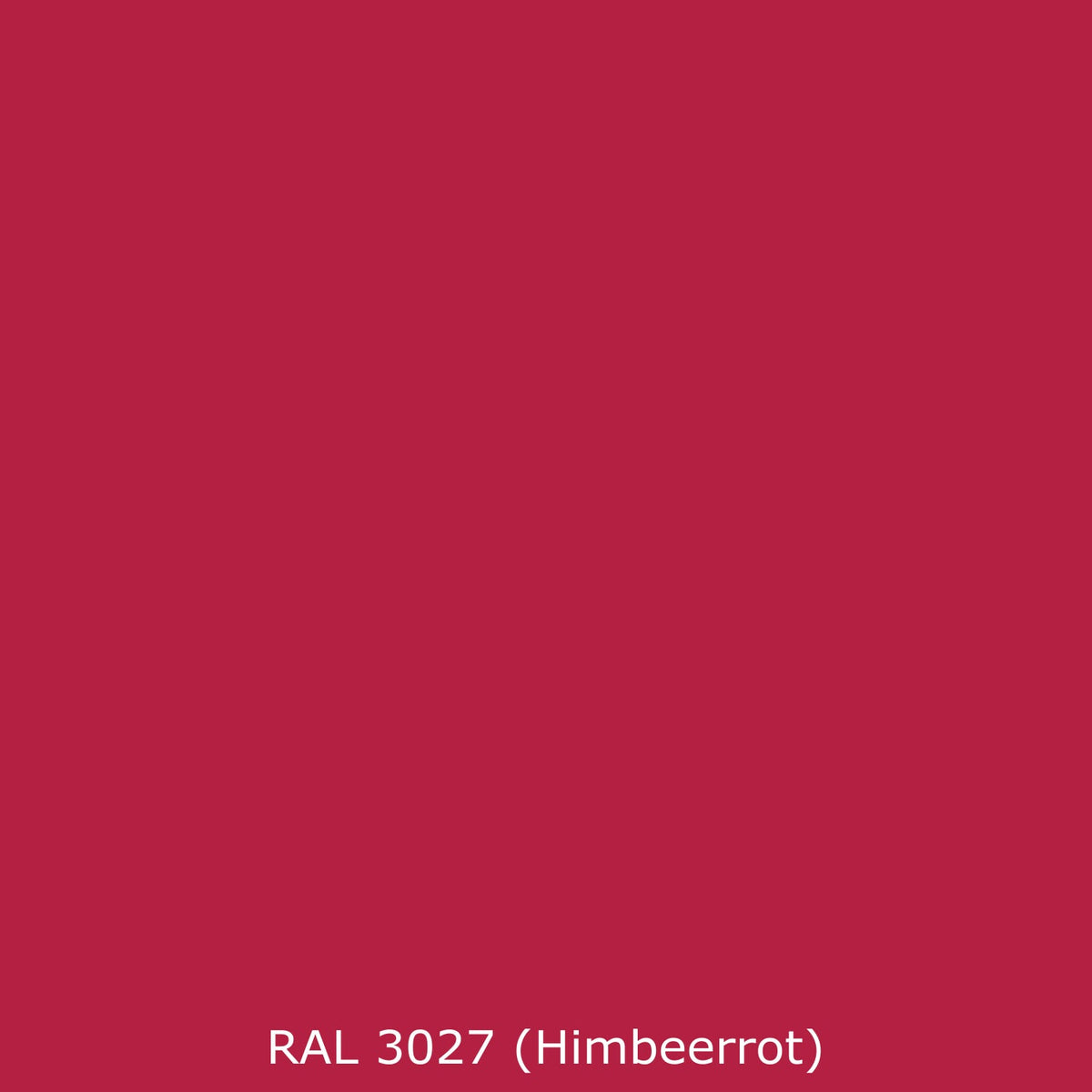 Toilettenrückwand Einfarbig RAL 3027 Himbeerrot