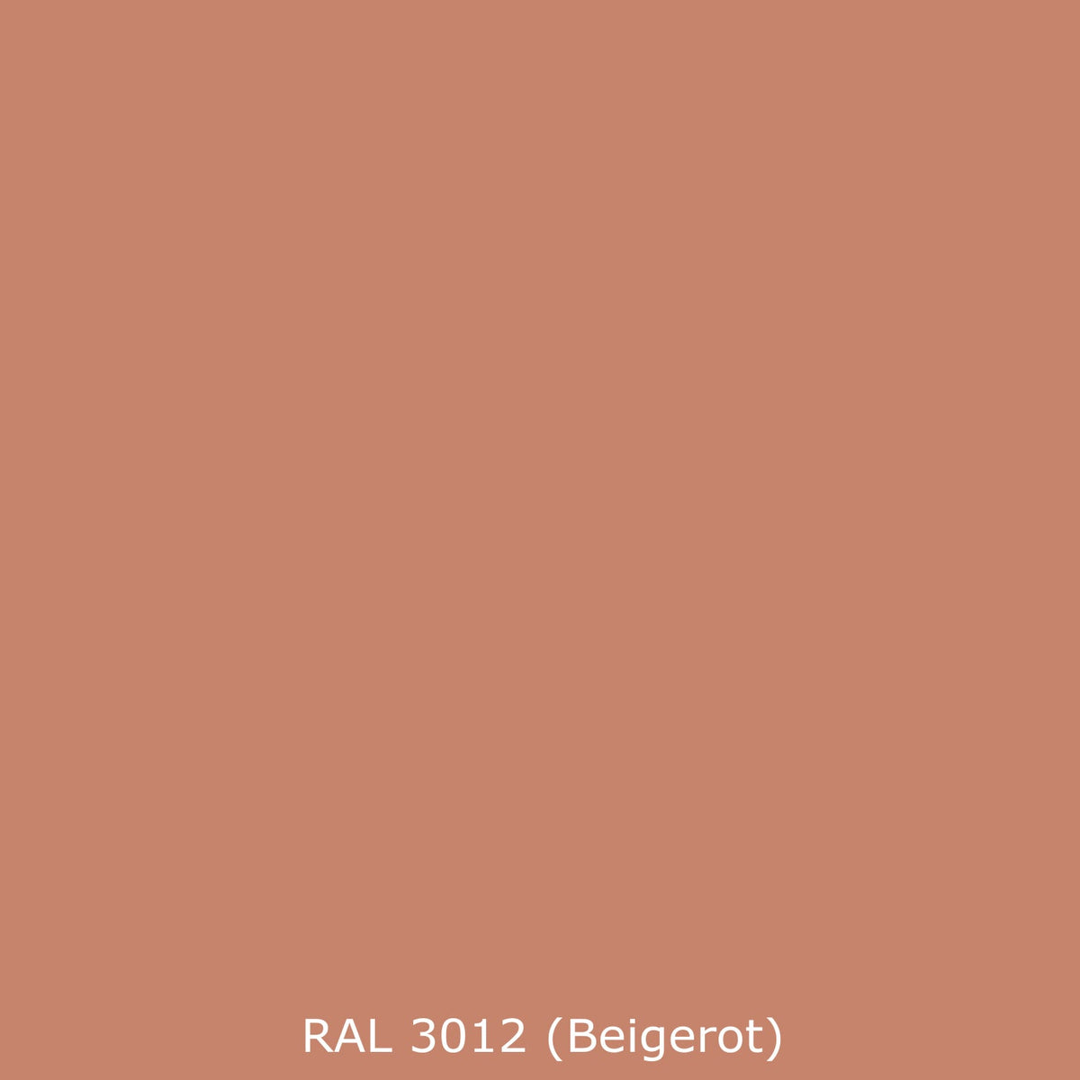 Toilettenrückwand Einfarbig RAL 3012 Beigerot