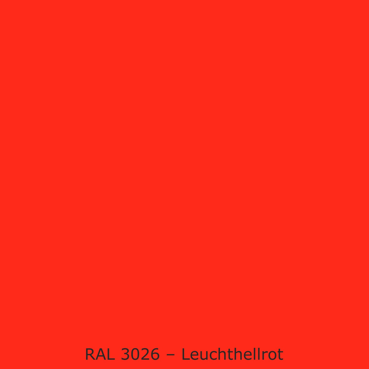 Toilettenrückwand Einfarbig RAL 3026 Leuchthellrot