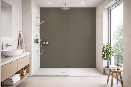 Toilettenrückwand Einfarbig RAL 7006 Beigegrau