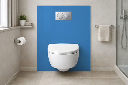 Toilettenrückwand Einfarbig RAL 5012 (Lichtblau)