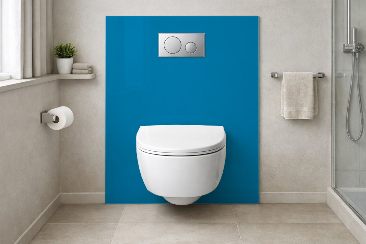 Toilettenrückwand Einfarbig RAL 5015 Himmelblau