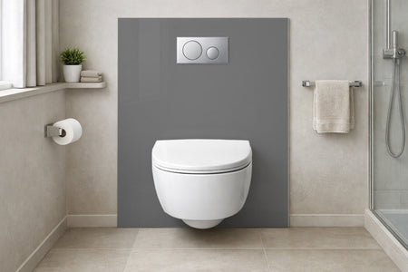 Toilettenrückwand Einfarbig RAL 9023 Perldunkelgrau