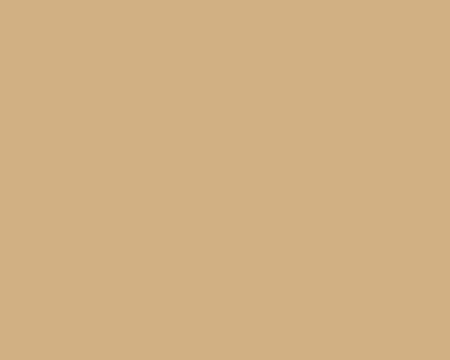 Toilettenrückwand Einfarbig #D0B083 RAL 1001 (Beige)