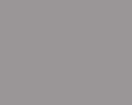 Toilettenrückwand Einfarbig RAL 7036 Platingrau