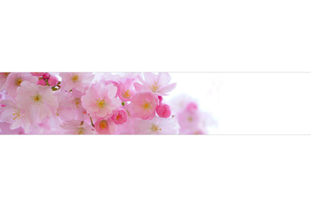 Küchenrückwand Rosa Kirschblüten