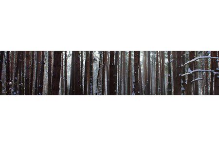 Küchenrückwand Winterwald