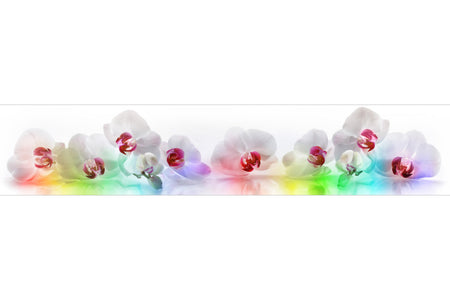 Küchenrückwand Weiße Orchideen