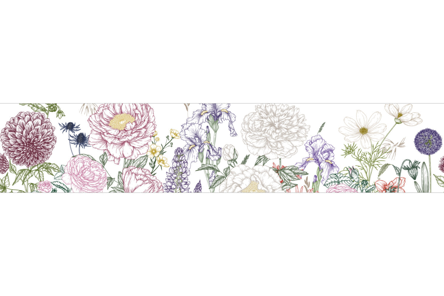 Küchenrückwand Botanische Blumenzeichnung