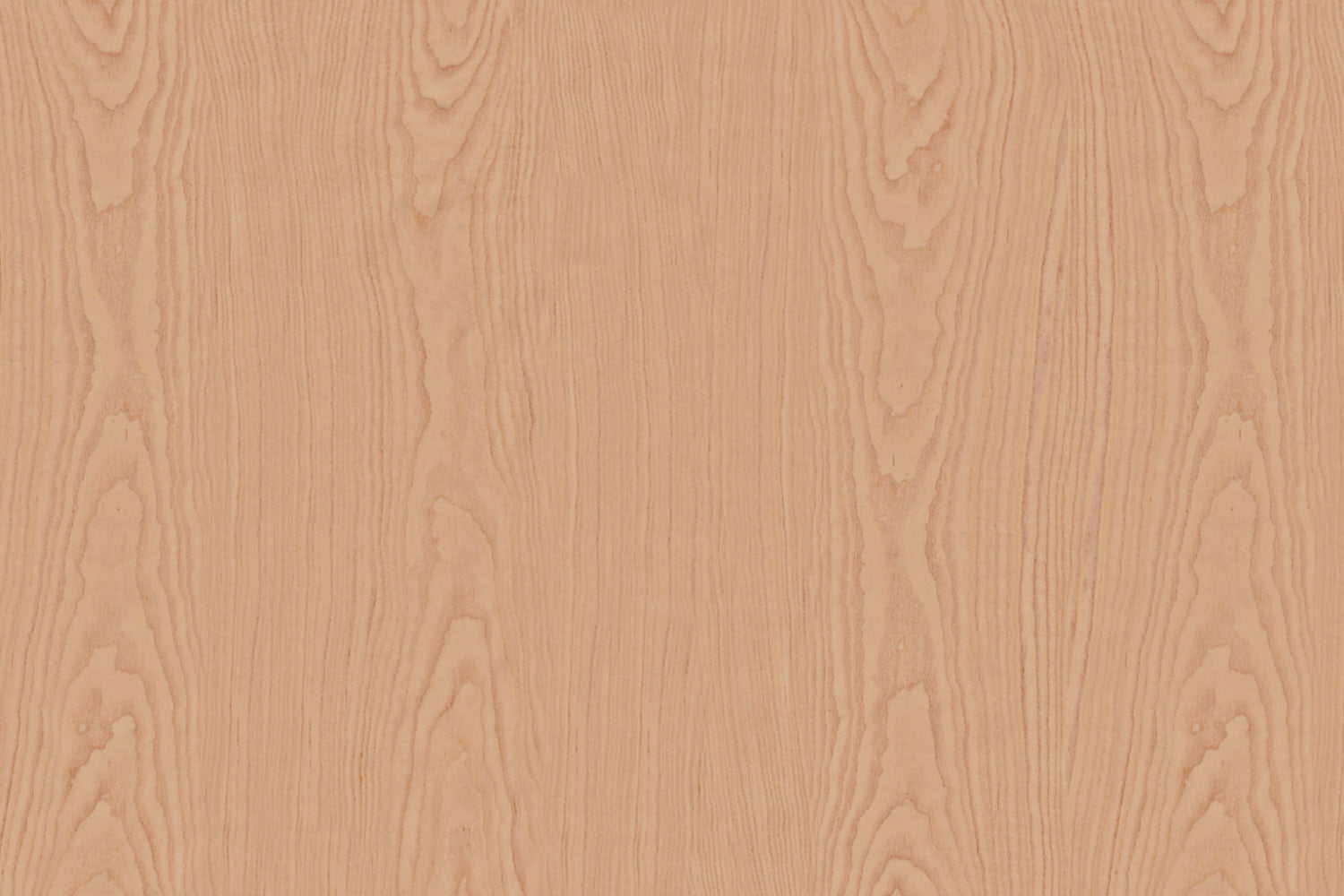 Spritzschutz Küche Holzoptik