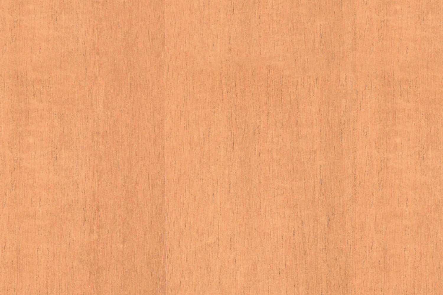 Spritzschutz Küche Holzoptik