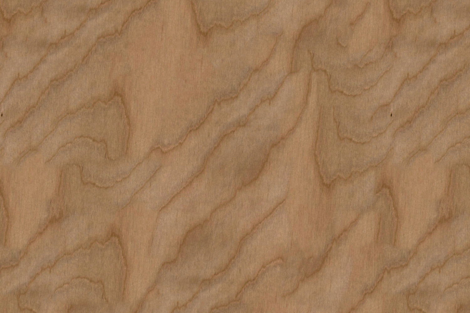 Spritzschutz Küche Holzoptik