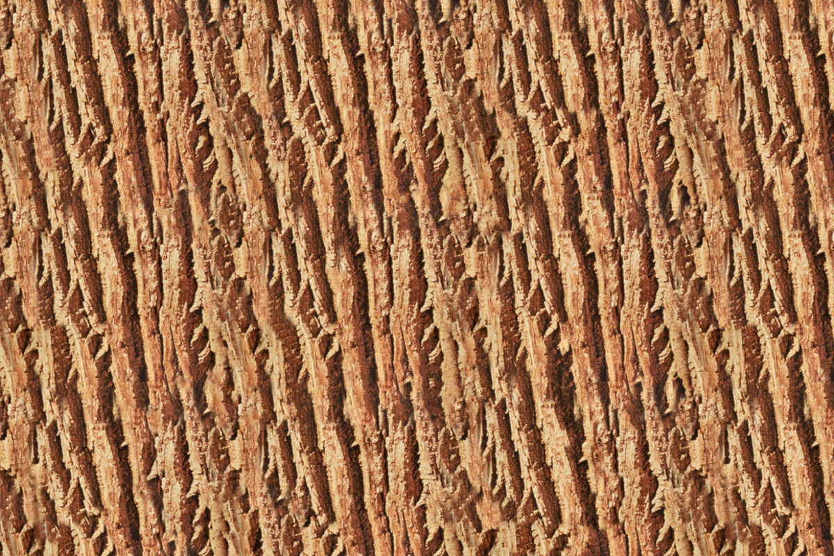 Spritzschutz Küche Holzoptik