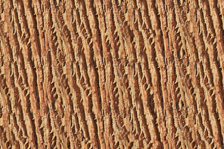 Spritzschutz Küche Holzoptik
