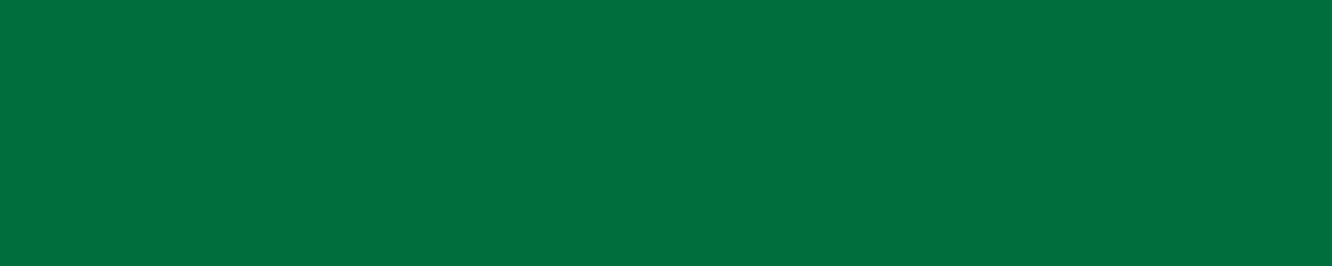 Küchenrückwand Einfarbig RAL 6029 (Minzgrün)