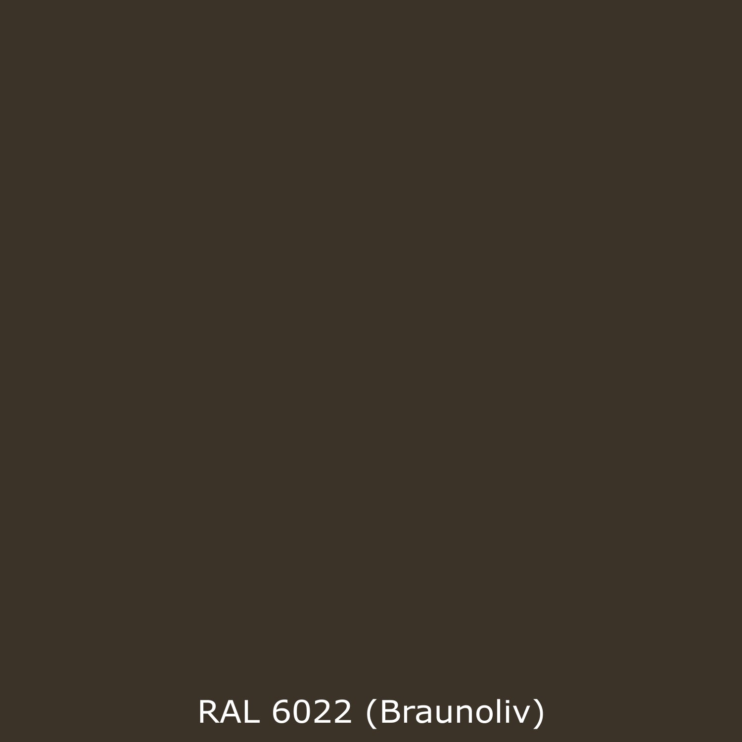 Küchenrückwand Einfarbig RAL 6022 Braunoliv