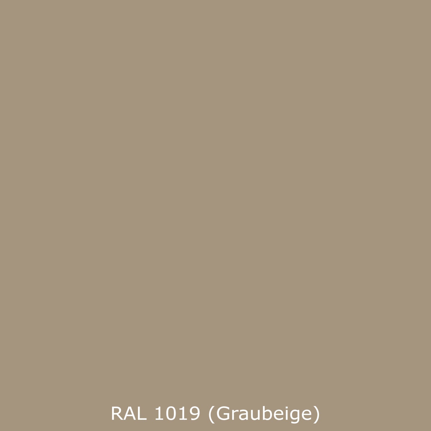 Küchenrückwand Einfarbig RAL 1019 Graubeige