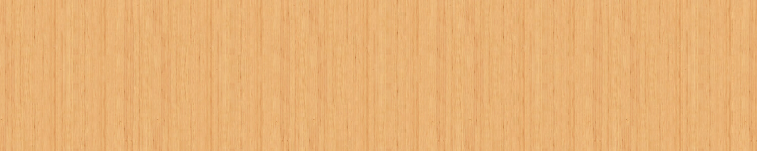 Spritzschutz Küche Holzoptik
