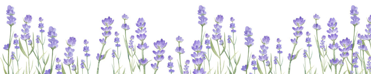 Küchenrückwand Lavendel Blüten