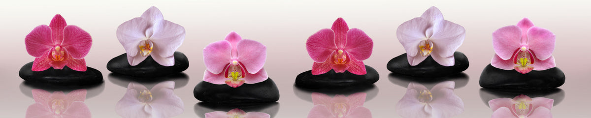 Küchenrückwand Orchideen Zen Stil