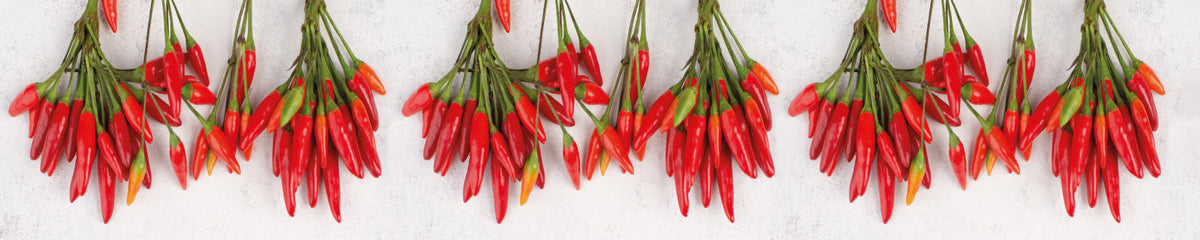 Küchenrückwand Rote Chilischoten