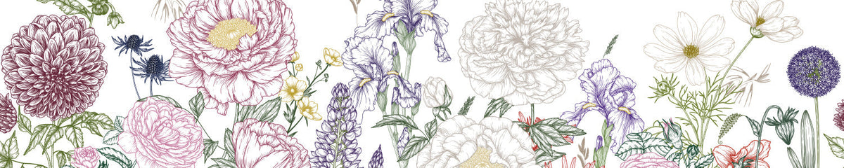 Küchenrückwand Botanische Blumenzeichnung