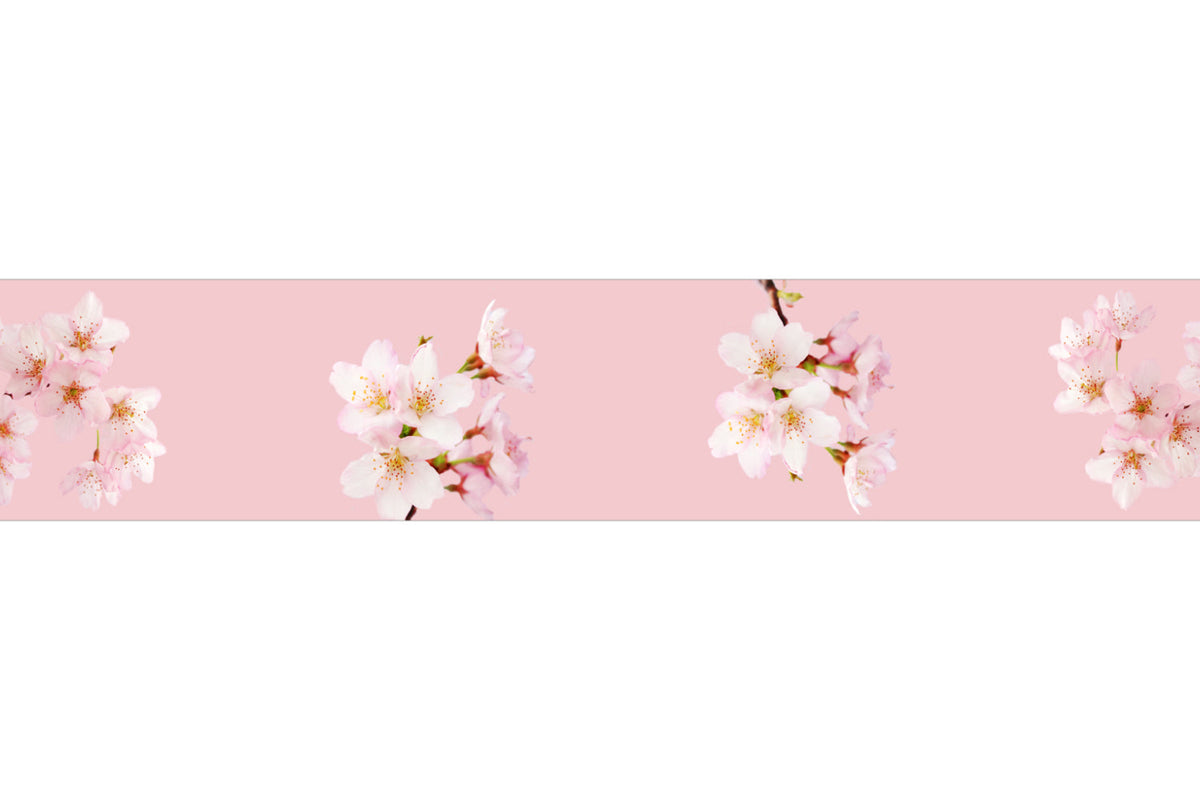 Spritzschutz Küche