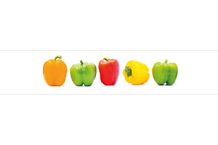 Spritzschutz Küche