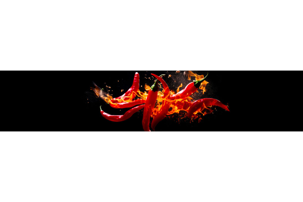 Spritzschutz Küche