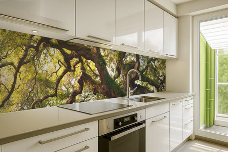 Spritzschutz Küche