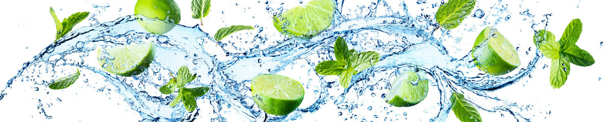 Spritzschutz Küche
