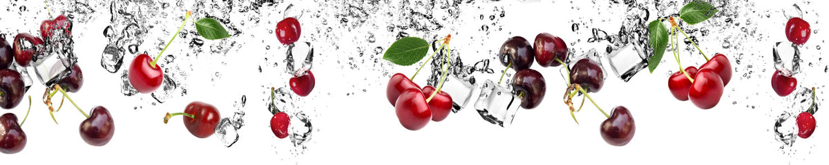 Spritzschutz Küche