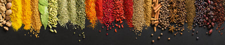 Spritzschutz Küche