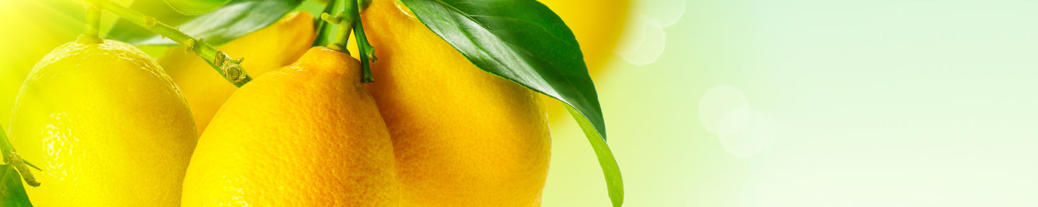 Spritzschutz Küche