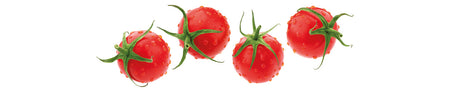 Spritzschutz Küche