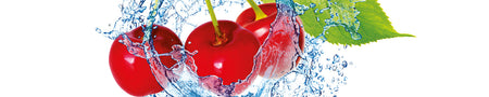 Spritzschutz Küche