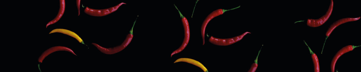 Spritzschutz Küche