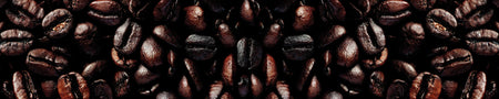Spritzschutz Küche