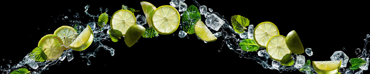 Spritzschutz Küche