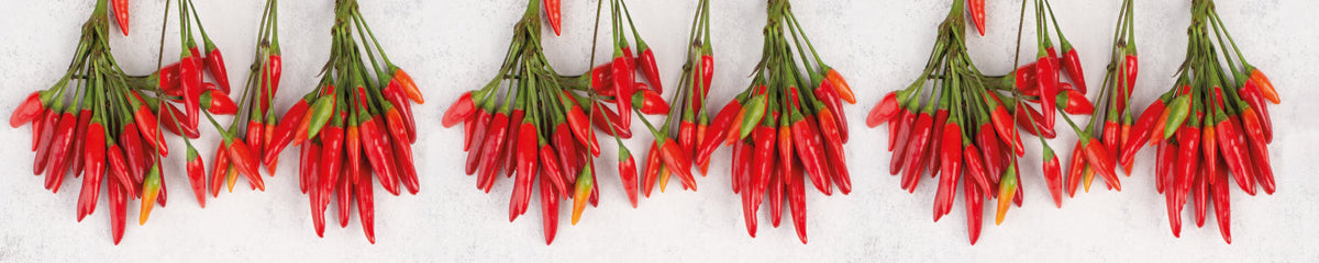 Spritzschutz Küche