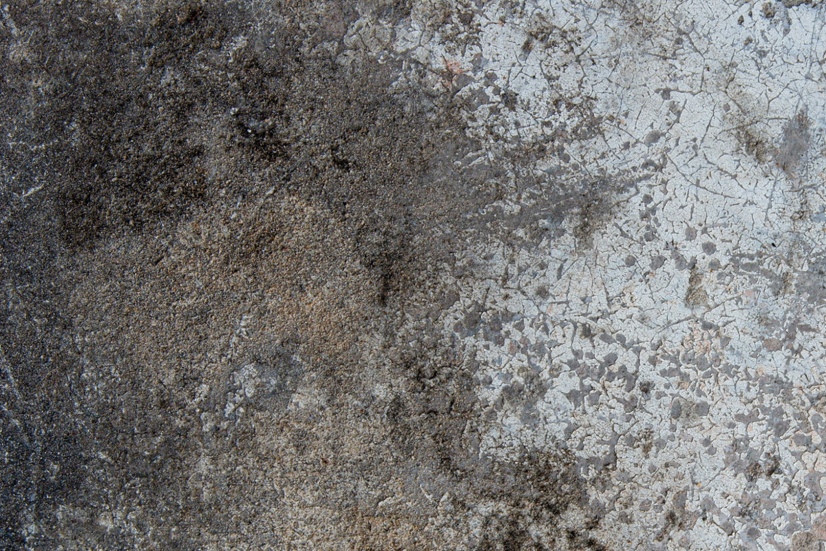 Spritzschutz Küche Betonoptik
