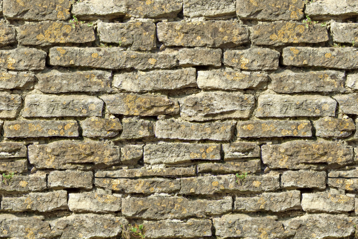 Badrückwand Steinoptik
