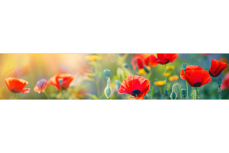 Waschbeckenrückwand
