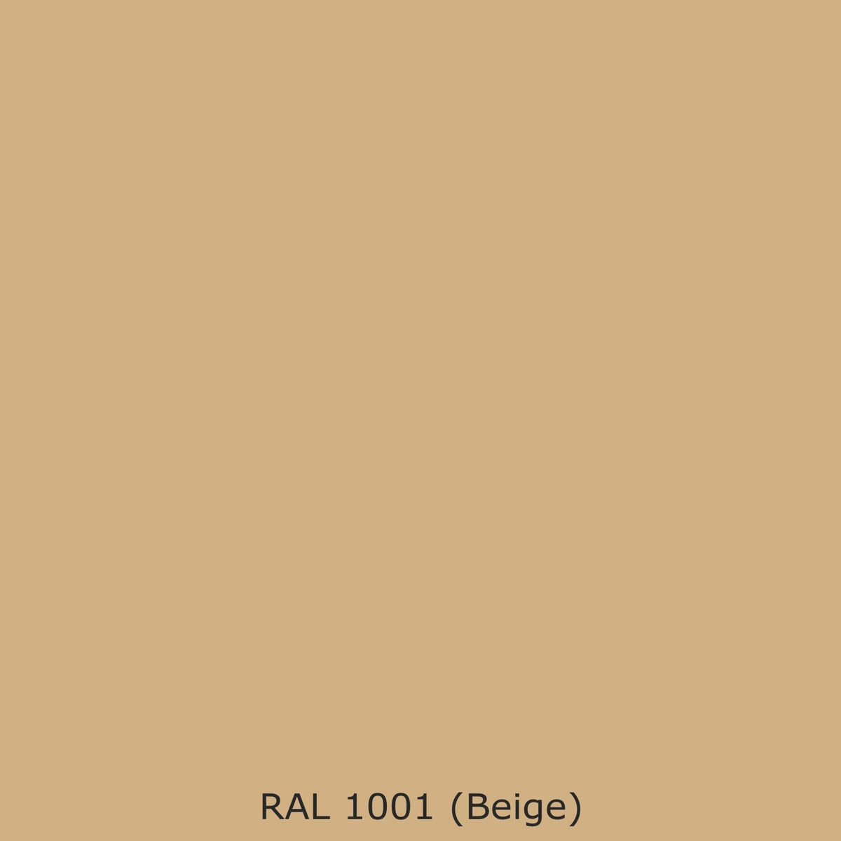 Waschbeckenrückwand Einfarbig #D0B083 RAL 1001 (Beige)