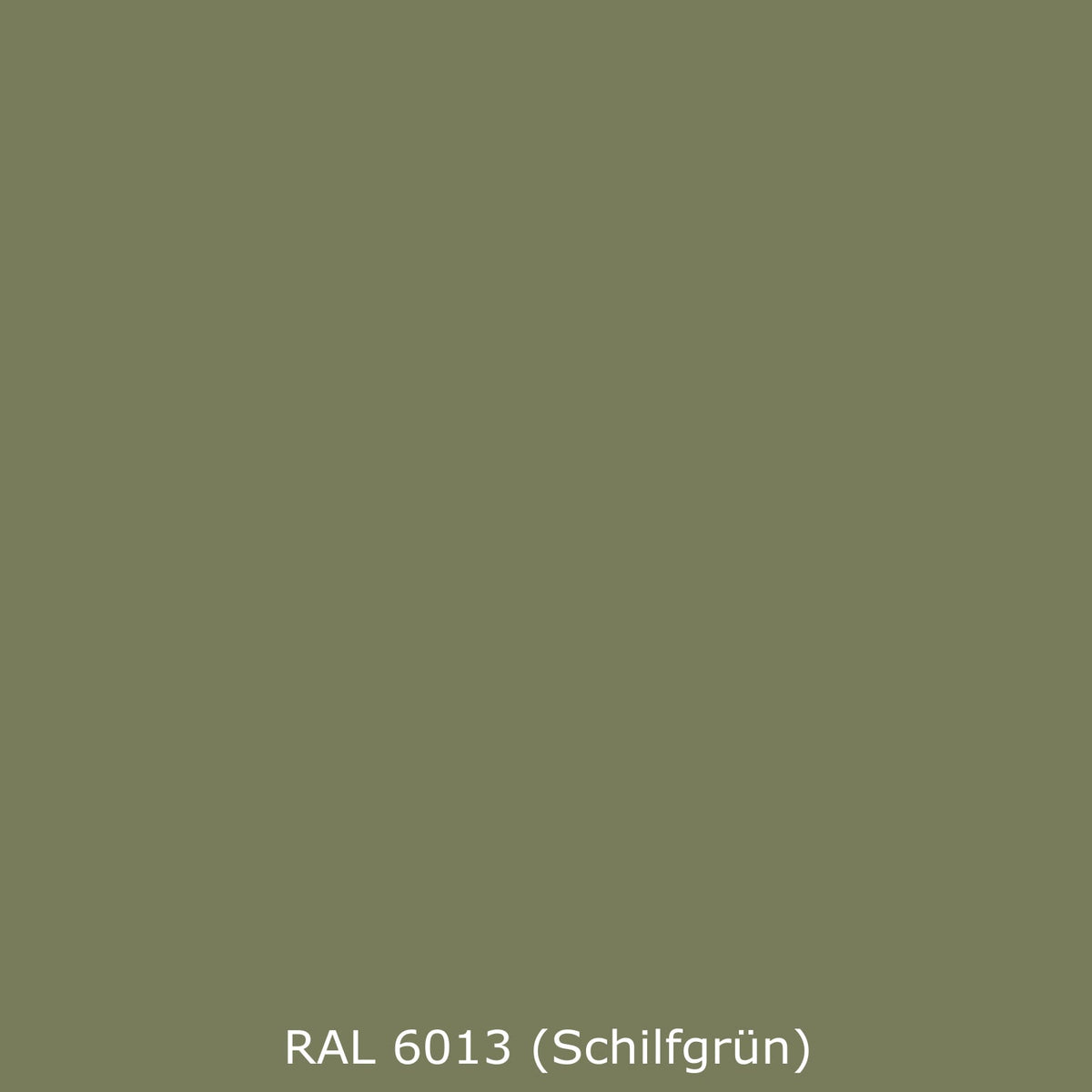 Badrückwand Einfarbig RAL 6013 Schilfgrün